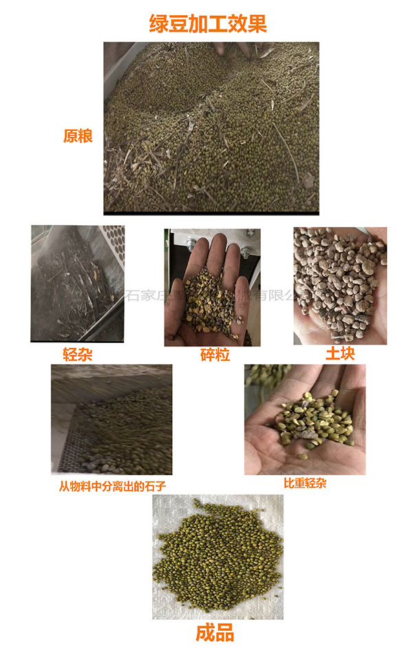 綠豆生產線效果圖.jpg